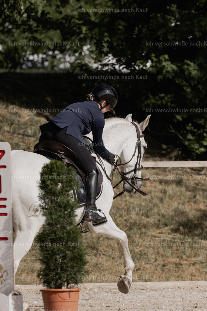 WE_ST_Stoib_328_PI2025_875 | Pferd International München 2025