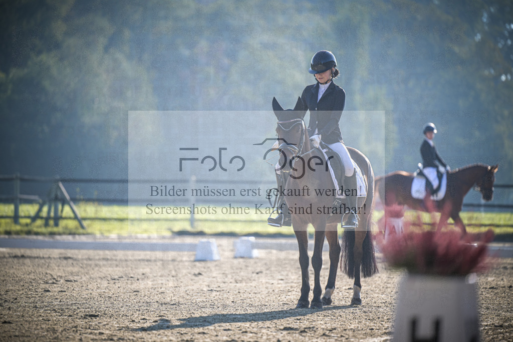 DOS_0573 | Entdecke hochwertige Reitturnierfotos von Foto Oger. Professionell, emotional und authentisch – jetzt Lieblingsmomente im Shop bestellen.Deutschlandweite Turnierfotografie. - Realisiert mit Pictrs.com