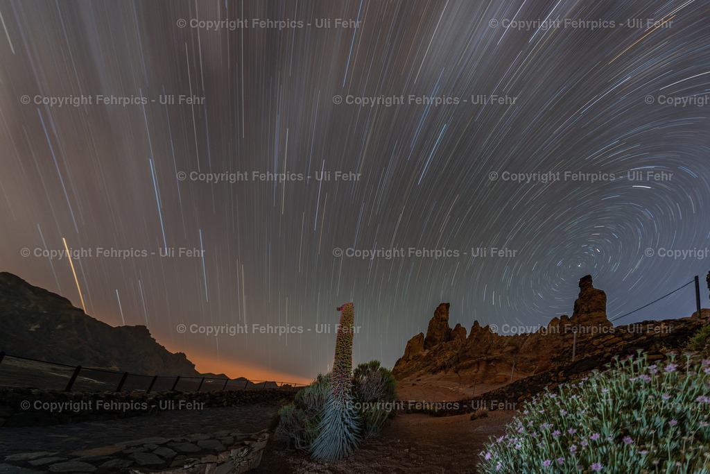 Tajinaste with startrails at Roques de Garcia, Tenerife | Fehrpics - hochwertige Fotoprodukte rund um Landschaft, Natur, Sterne & Milchstraße. - Realisiert mit Pictrs.com
