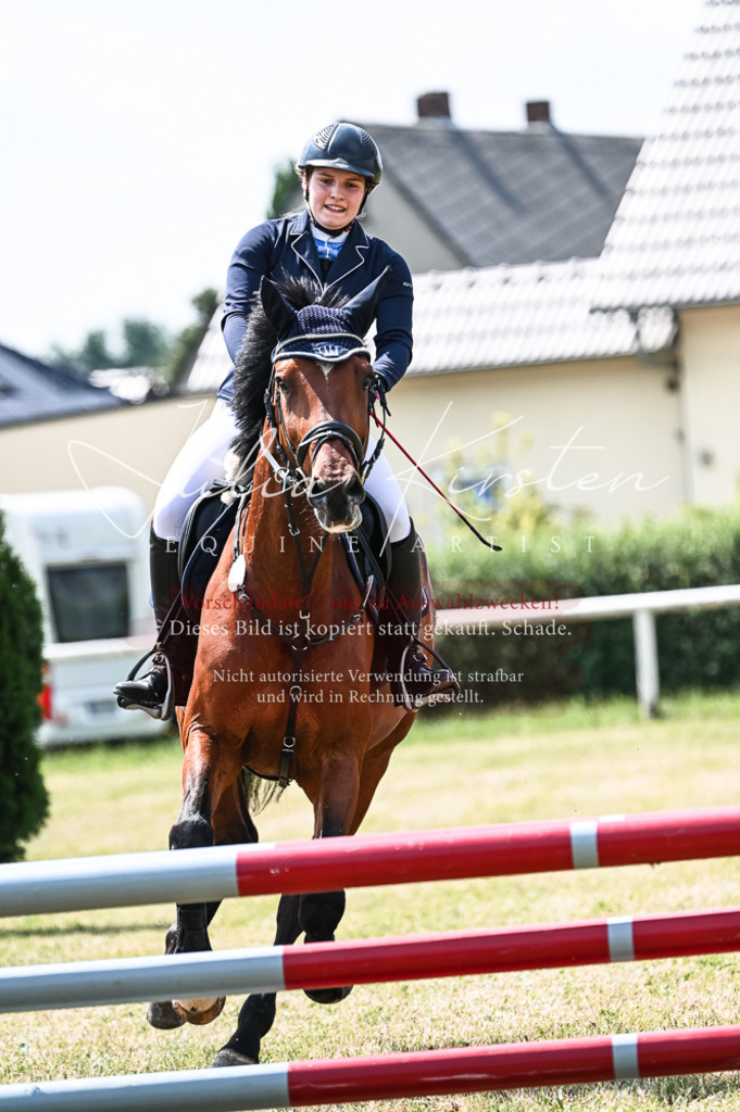 DSC_9333 | Pferde- und Turnierfotografie in Westsachsen. Pferdeportraits, Auftragszeichnungen und intuitive Kunst.