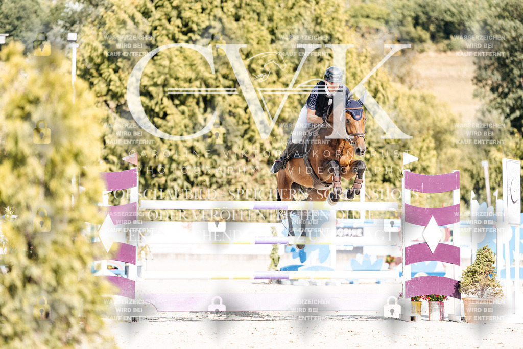 CK909036 | Turnierfotografie Pferdefotografie Trier Rheinland-Pfalz Pferdesport Reitsport Tierfotografie Sportfotografie Pferdevideo Pferdevideografie Equestrianvideography equestrianphotography  - Realisiert mit Pictrs.com