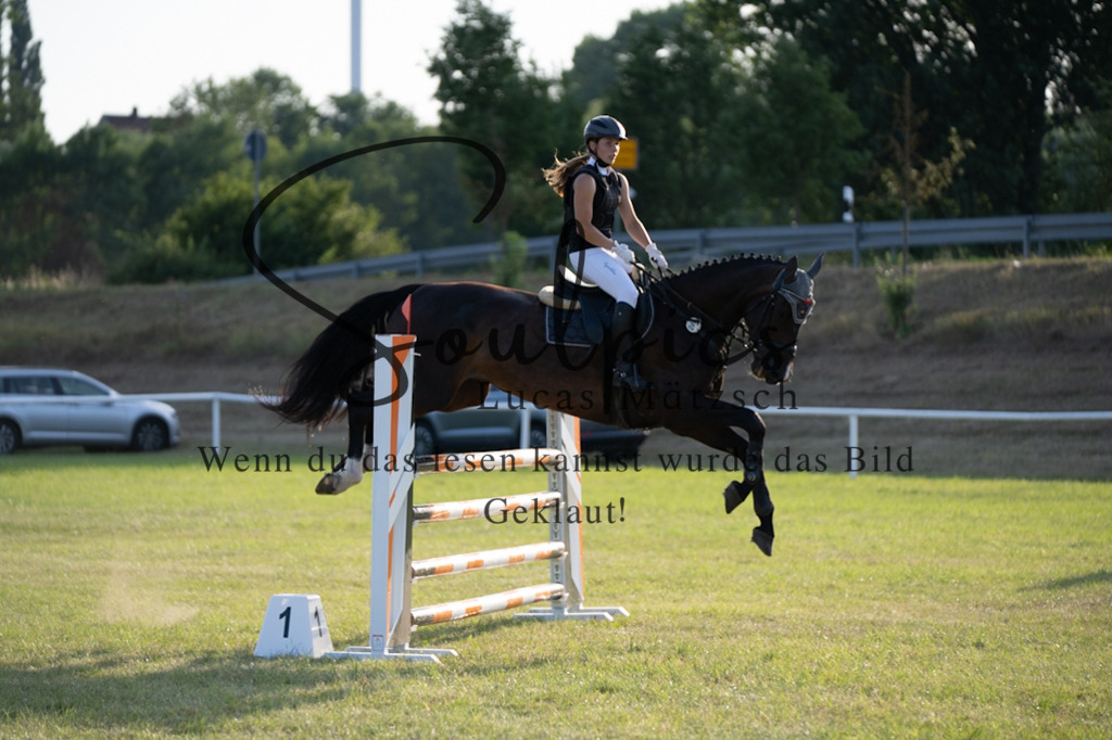 A7V01000 | Pferdefotograf