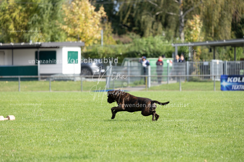 _16A6815 | Einzigartige Fotos von Hunden & Menschen –Actionfotos, Portraits, Vereinsaufnahmen & Paarshootings – authentisch, lebendig & mit Herz.