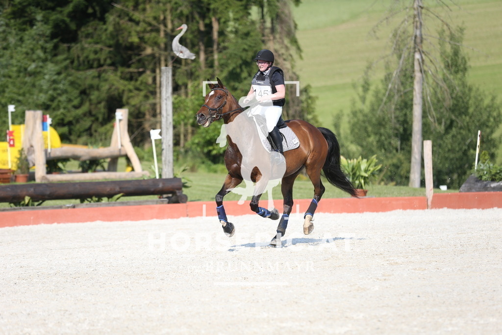 DL2Q3190 | Willkommen bei Brunnmayr - Design & Fotografie – Ihrem Spezialisten für Reitturniere und Pferdeveranstaltungen in Oberösterreich, Salzburg und Bayern! Seit über 17 Jahren sind wir leidenschaftlich dabei.