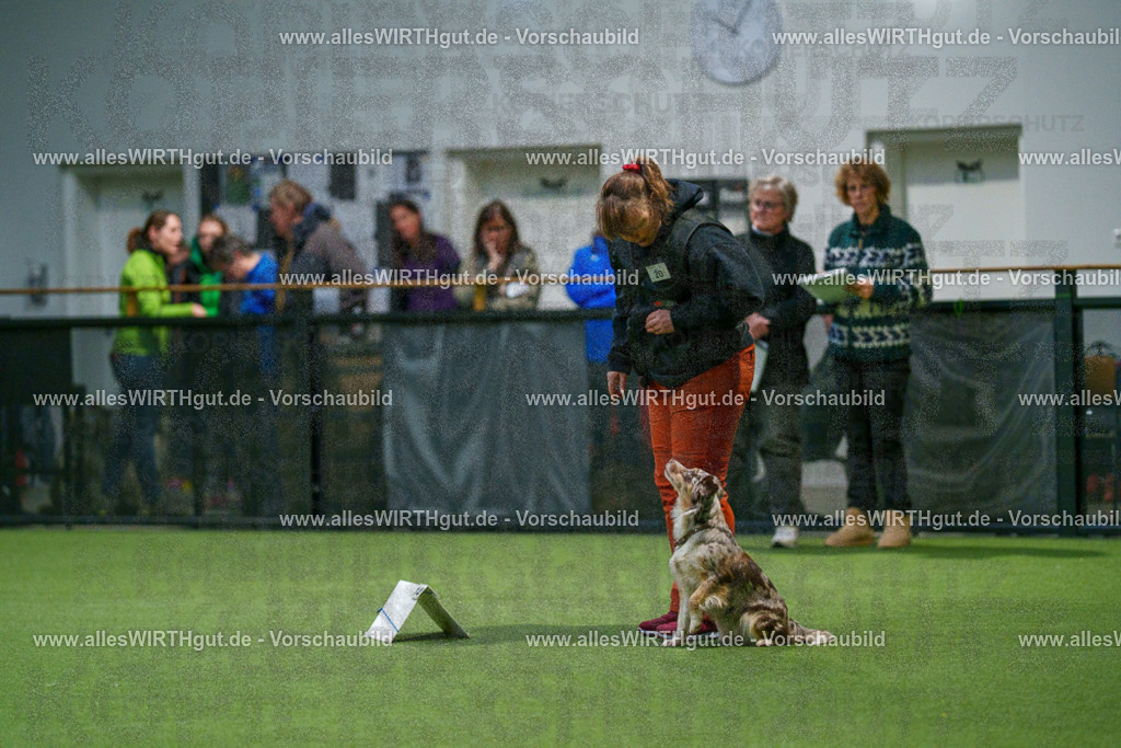 7R504630 | Professionelle Tierfotografie in Mönchengladbach von Daniel Wirth (allesWIRTHgut). Liebevolle & natürliche Bilder von Hunden & Katzen für unvergessliche Erinnerungen.