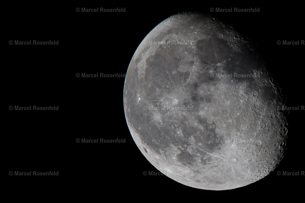 _DSC6191 | foto-rosenfeld