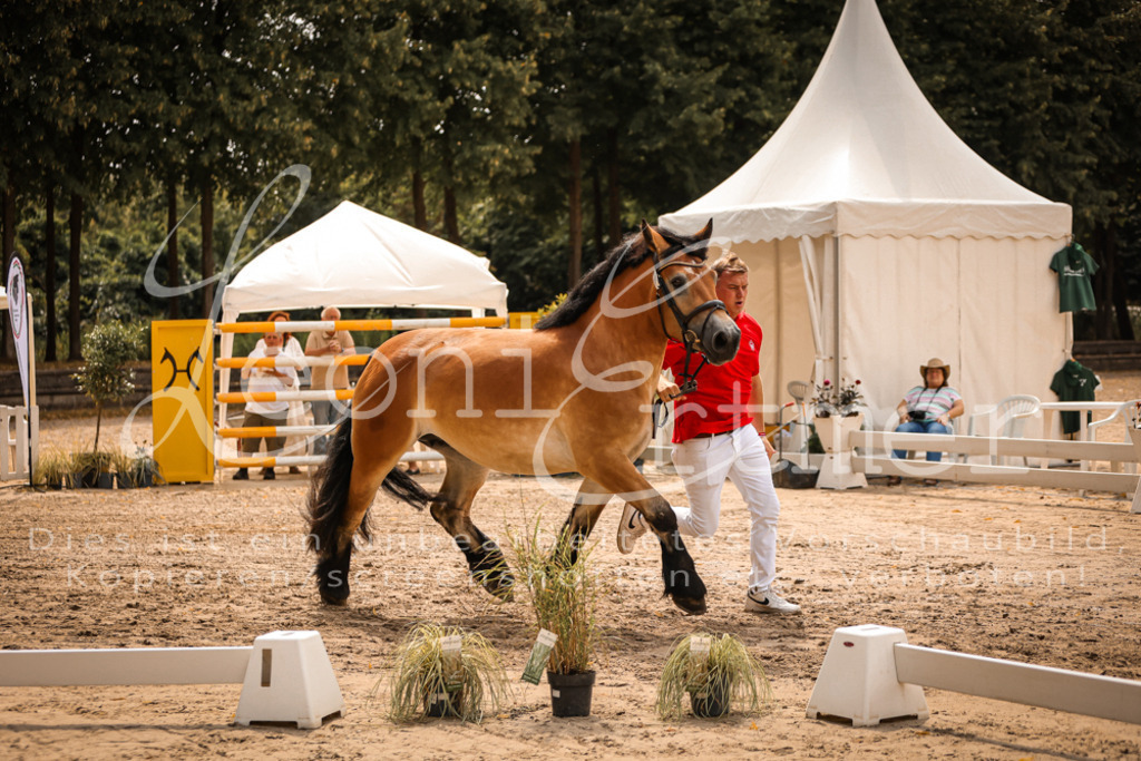 3.Sa00027 | Leoni Ertmer Photography - Realisiert mit Pictrs.com