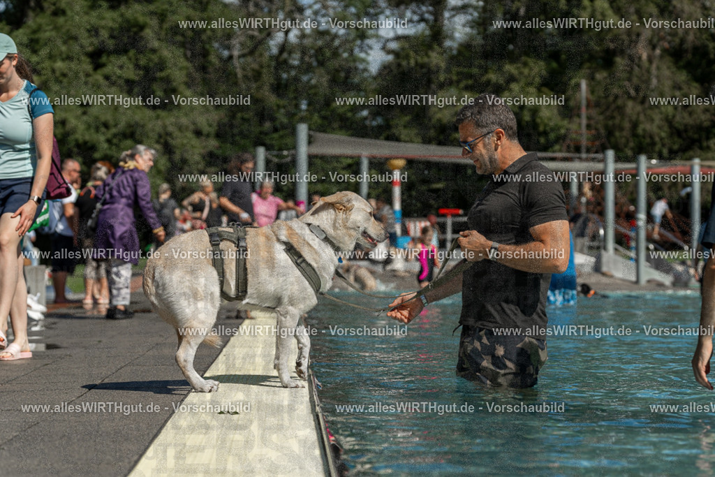 Hundeschwimmen_Volksbad_2026-allesWIRTHgut_Tierfotografie-2609061250-120041-7R500200 | Professionelle Tierfotografie in Mönchengladbach von Daniel Wirth (allesWIRTHgut). Liebevolle & natürliche Bilder von Hunden & Katzen für unvergessliche Erinnerungen.