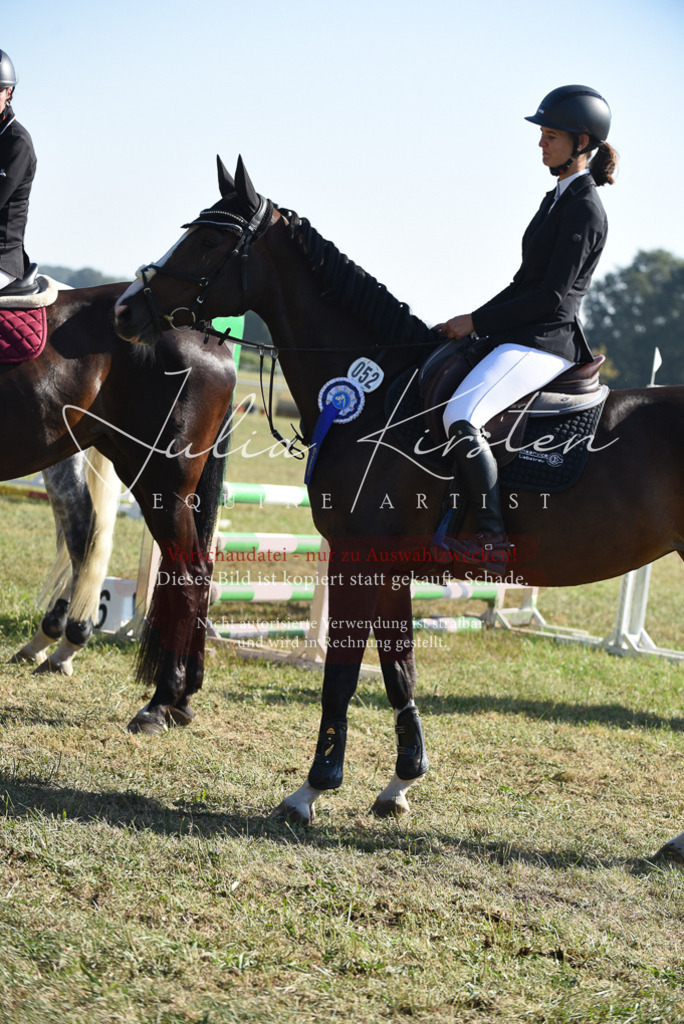 DSC_5459 | Pferde- und Turnierfotografie in Westsachsen. Pferdeportraits, Auftragszeichnungen und intuitive Kunst.
