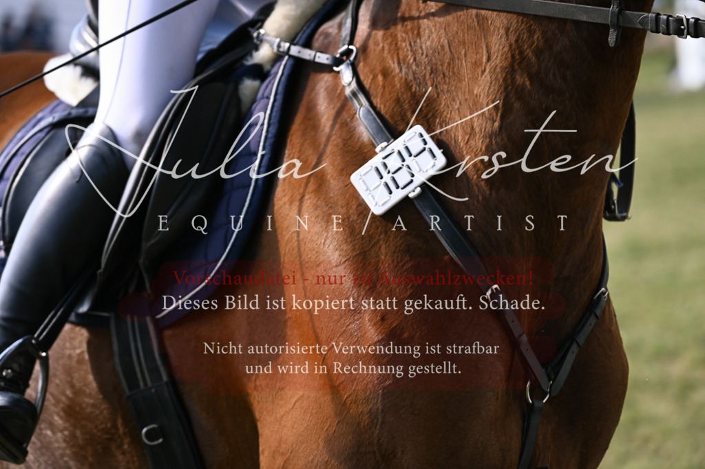 DSC_1340 | Pferde- und Turnierfotografie in Westsachsen. Pferdeportraits, Auftragszeichnungen und intuitive Kunst.