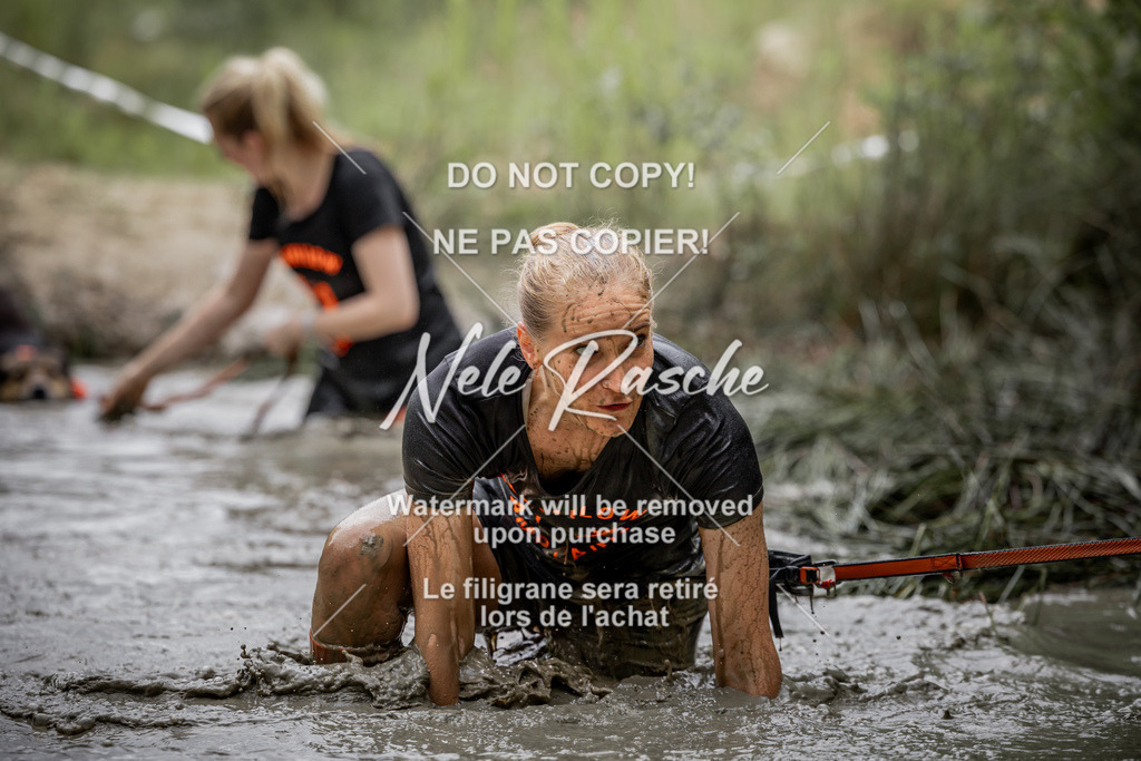 nelerasche_so0930-1000_210 | nelerasche