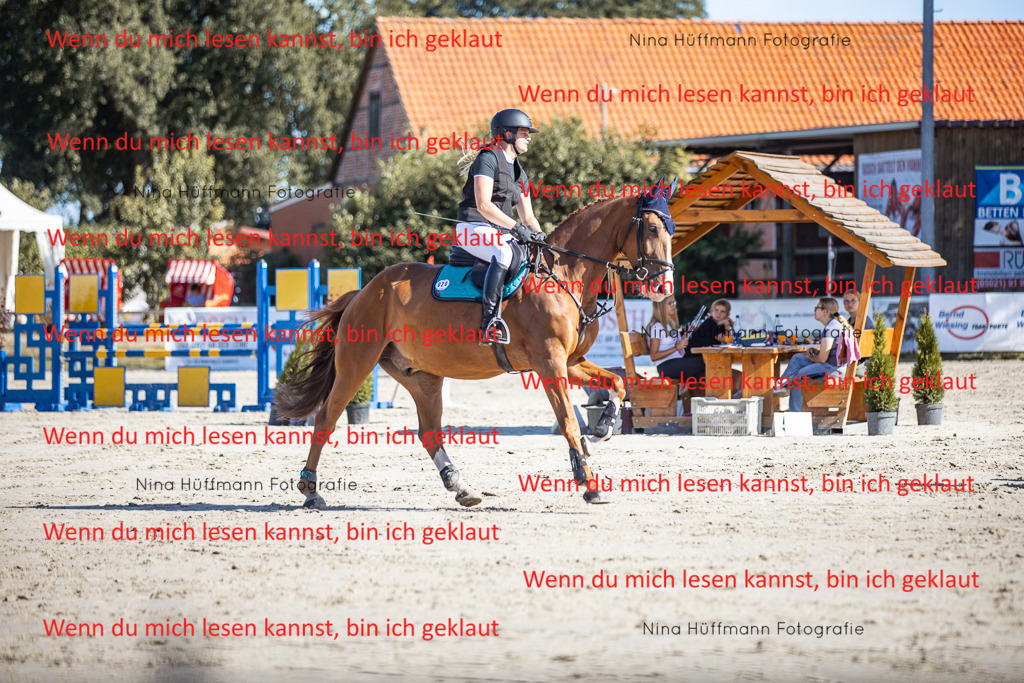 BK1A7193 | Turnierbilder Turnierfotos Nina Hüffmann Turnierfotografie Pferdefotografie Tierzeichnung Haustierzeichnung Pferdezeichnung Hundezeichnung Videograf  - Realisiert mit Pictrs.com