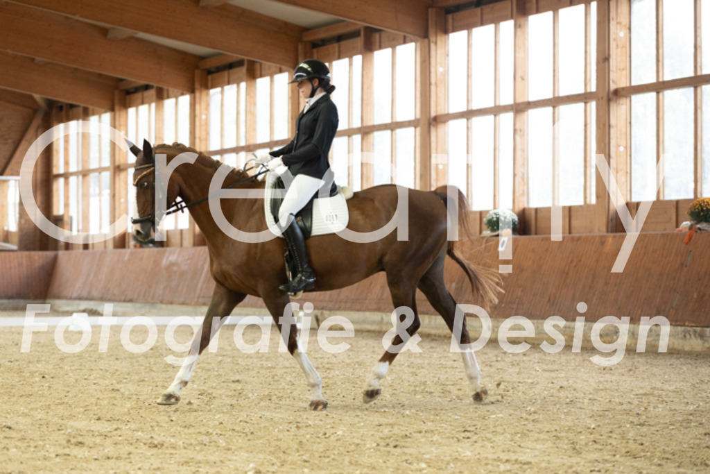 IMG_1396 | Creatify Fotografie