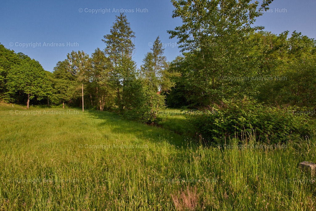 Im Triebischtal zwischen Helbigsdorf und Herzogswalde am Semmelberg 02 | Bedeutsame Landschaften Deutschlands - Realisiert mit Pictrs.com