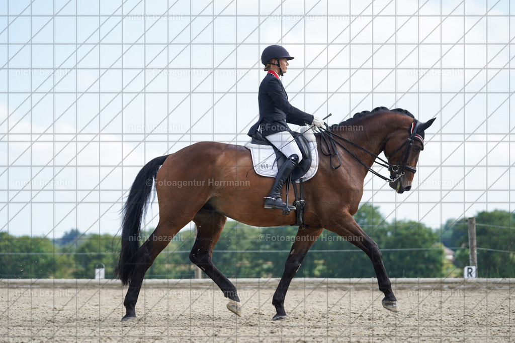 20230826-FAH06014 | Forstinning, 2023, Dressurturnier, Turniersportbilder, Turnierfotografen Bayern, Fotoagentur Herrmann, Reitsportfotografie, Turnierbilder