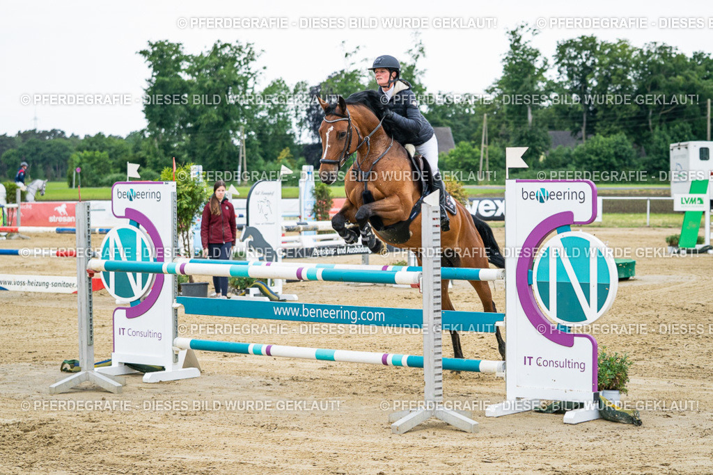 DSC05735 | Pferdegrafie