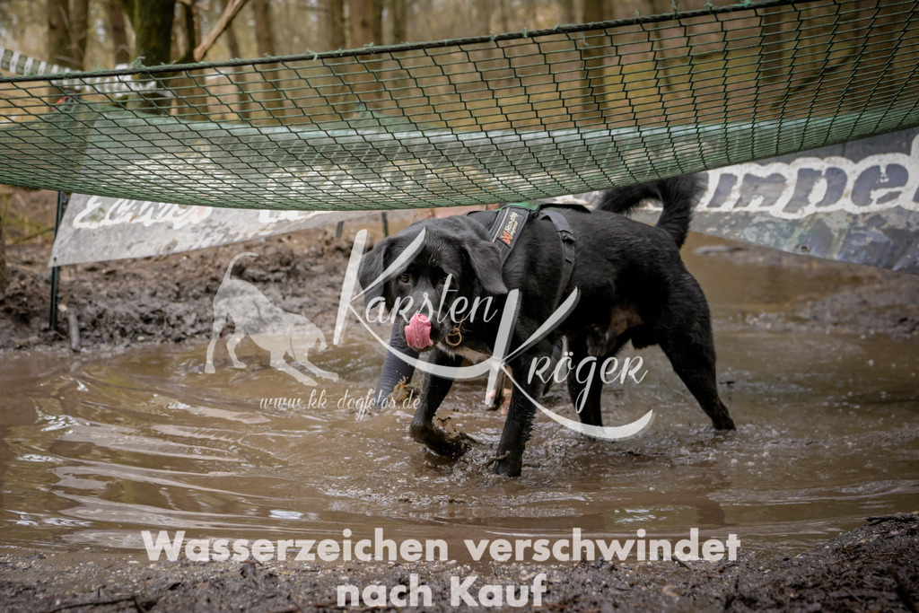 1056_ZZ92728 | kk-dogfotos