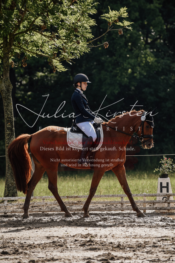 DSC_8848 | Pferde- und Turnierfotografie in Westsachsen. Pferdeportraits, Auftragszeichnungen und intuitive Kunst.