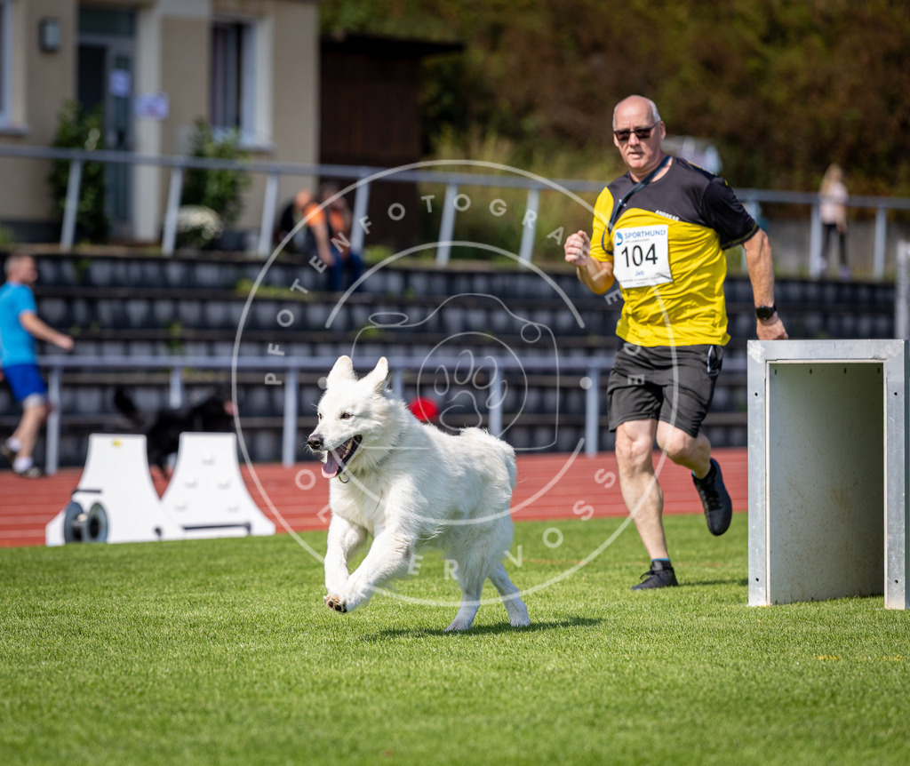 Pfotenfotografie_DV3A8101 | Hundefotografie, Tierfotograf, Pfotenfotografie, Fotoshooting Hund, Hunde Portrait, Hundesport, Hundeportraits, Heideshooting, Hunde, Sportfotograf, Hundefotograf, Turnierhundsport, THS,  - Realisiert mit Pictrs.com