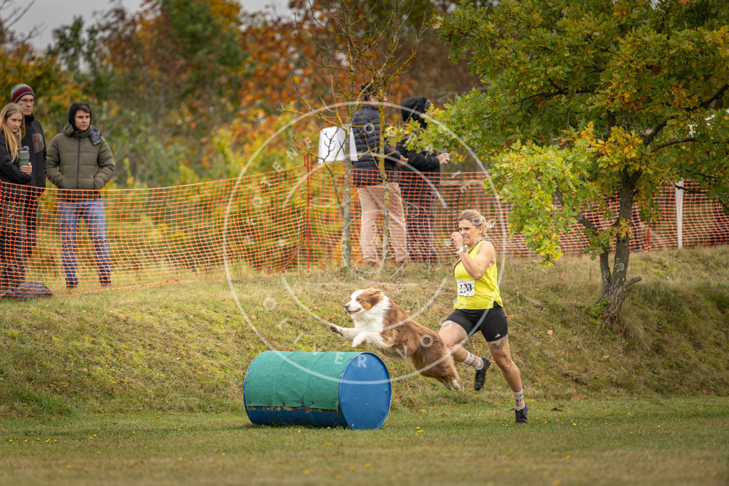 Pfotenfotografie_DV3A4465 | Hundefotografie, Tierfotograf, Pfotenfotografie, Fotoshooting Hund, Hunde Portrait, Hundesport, Hundeportraits, Heideshooting, Hunde, Sportfotograf, Hundefotograf, Turnierhundsport, THS,  - Realisiert mit Pictrs.com