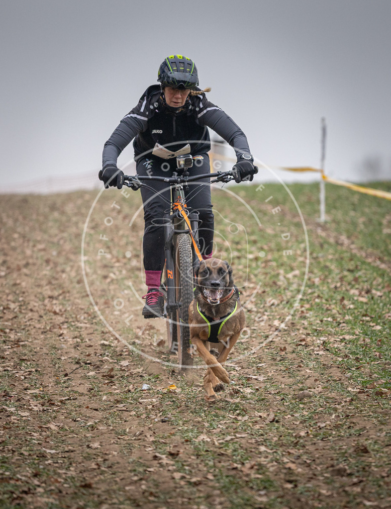 Pfotenfotografie_DV3A1525 | Hundefotografie, Tierfotograf, Pfotenfotografie, Fotoshooting Hund, Hunde Portrait, Hundesport, Hundeportraits, Heideshooting, Hunde, Sportfotograf, Hundefotograf, Turnierhundsport, THS,  - Realisiert mit Pictrs.com