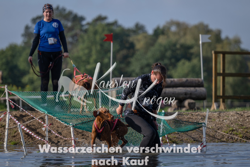 1051_ZZ90342 | kk-dogfotos
