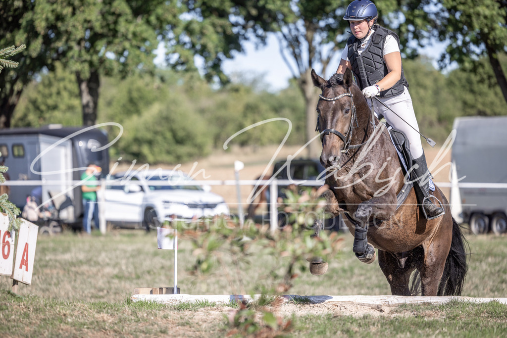 20260906-_3LI1890 | Tierfotografie Pferde, Hunde, Katzen, Haustiere.
Turnierfotografie Reitturniere, Reiten, Springreiten, Dressur in Hanau, dem Main-Kinzig-Kreis und dem Rhein-Main- Gebiet um Frankfurt