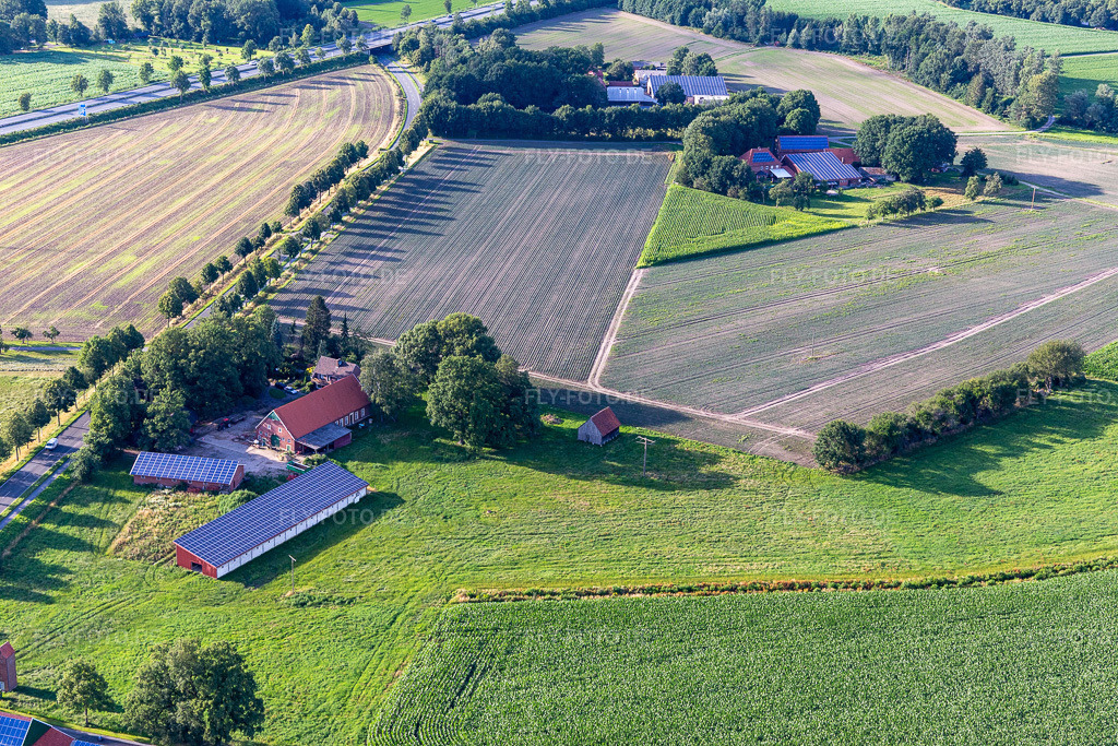 Luftbild: Hof an der L608 im Ortsteil Tungerloh-Pröbsting in Gescher im Bundesland Nordrhein-Westfalen in Deutschland. Foto: IMG_007937.jpg vom 12.07.2020 durch Werner Riehm/FLY-FOTO.de