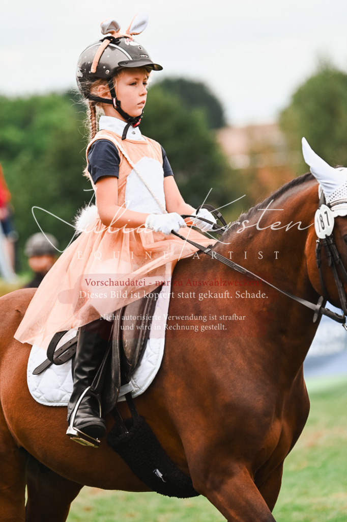 DSC_7398 | Pferde- und Turnierfotografie in Westsachsen. Pferdeportraits, Auftragszeichnungen und intuitive Kunst.
