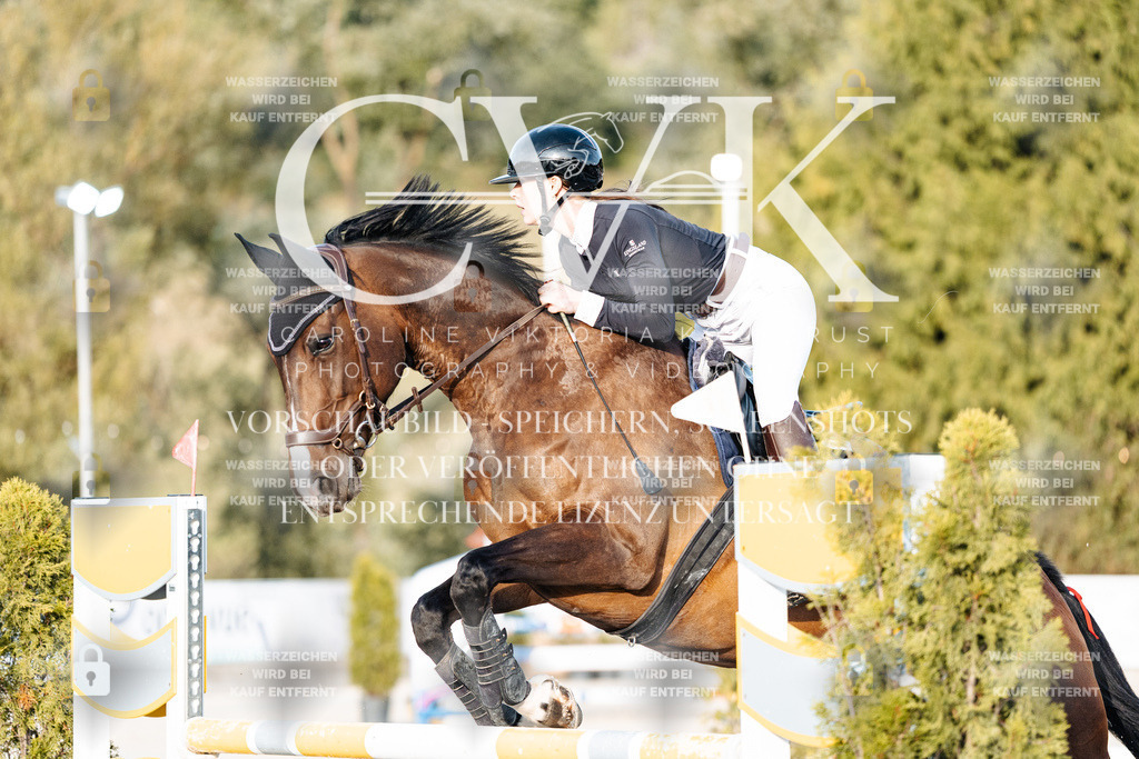 CK900828 | Turnierfotografie Pferdefotografie Trier Rheinland-Pfalz Pferdesport Reitsport Tierfotografie Sportfotografie Pferdevideo Pferdevideografie Equestrianvideography equestrianphotography  - Realisiert mit Pictrs.com