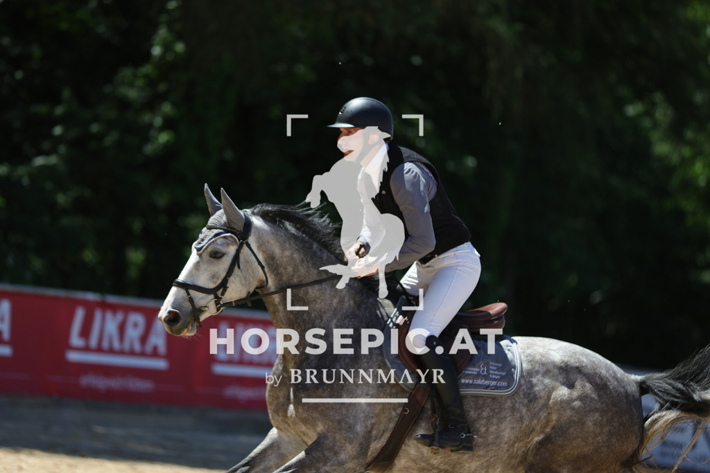0P6A0415 | Willkommen bei Brunnmayr - Design & Fotografie – Ihrem Spezialisten für Reitturniere und Pferdeveranstaltungen in Oberösterreich, Salzburg und Bayern! Seit über 17 Jahren sind wir leidenschaftlich dabei.