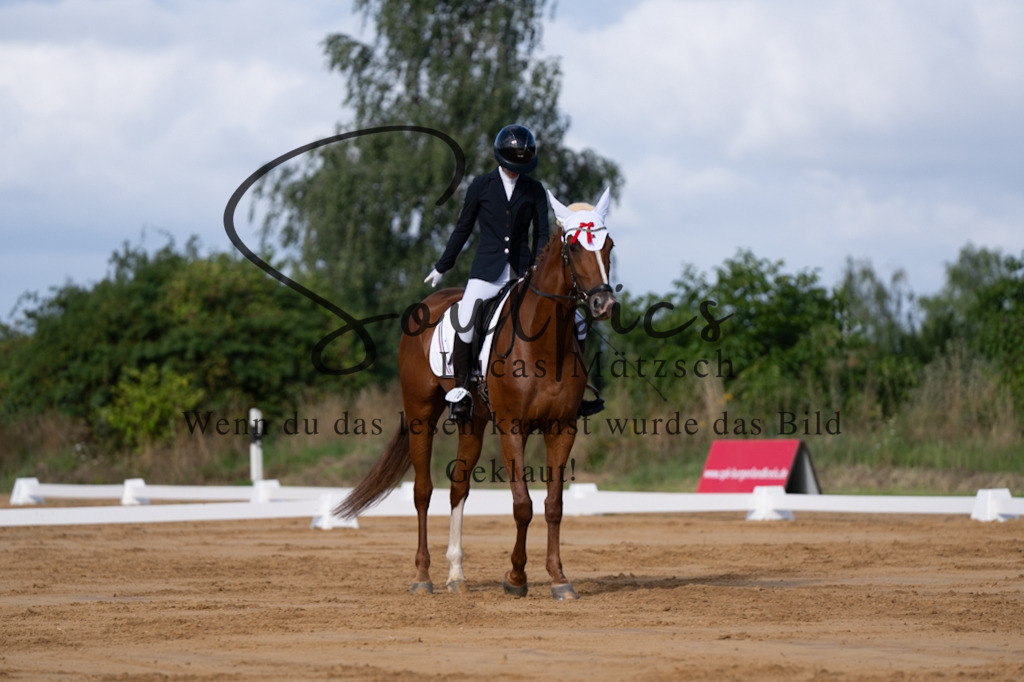 A7V05135 | Pferdefotograf