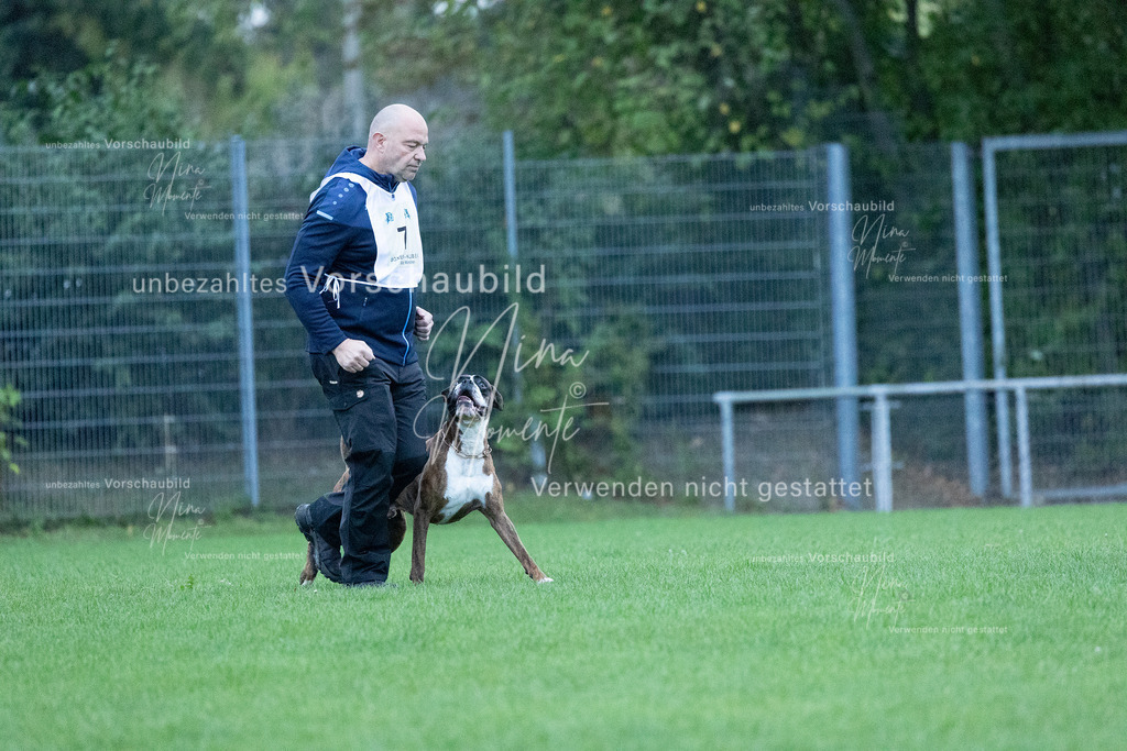 _16A4420 | Einzigartige Fotos von Hunden & Menschen –Actionfotos, Portraits, Vereinsaufnahmen & Paarshootings – authentisch, lebendig & mit Herz.