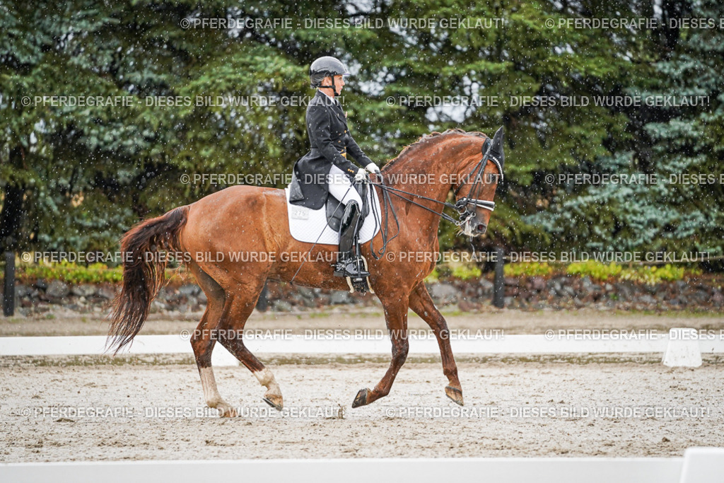 DSC08994 | Pferdegrafie