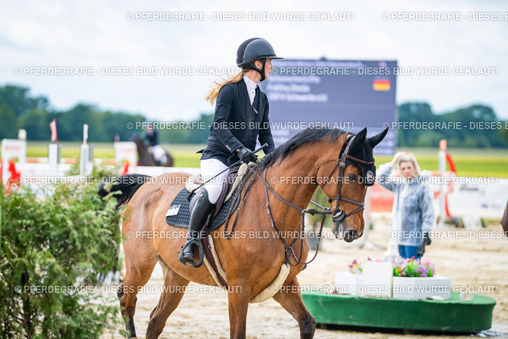 DSC04789 | Pferdegrafie