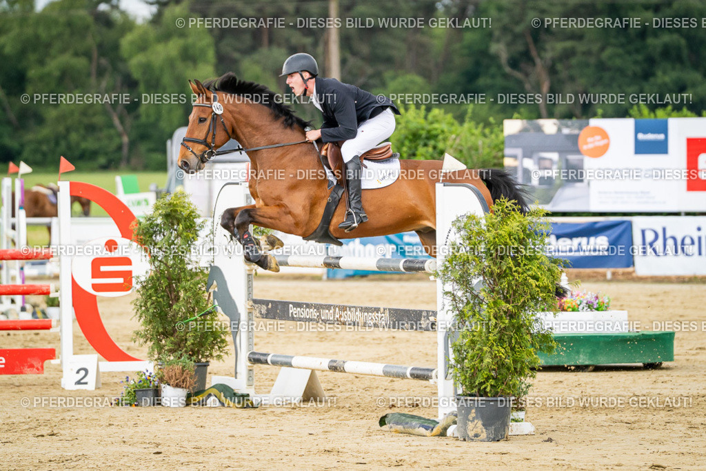 DSC06609 | Pferdegrafie