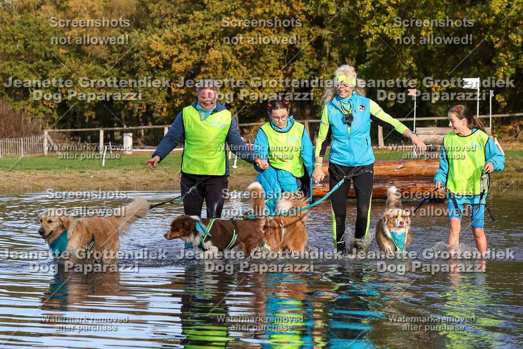 Dog Paparazzi - Strongdog 10-25-8485 | Dog Paparazzi Jeanette Grottendiek Fotografie & Videografie - Realisiert mit Pictrs.com