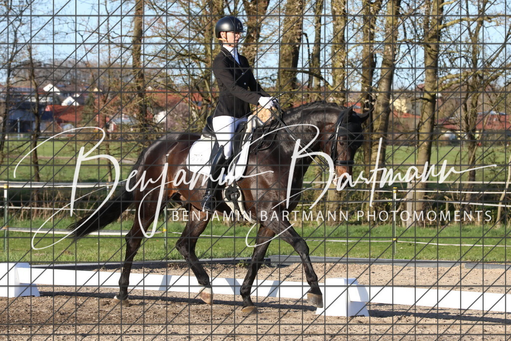 AZ2A5636 | Benjamin Bartmann Photomoments