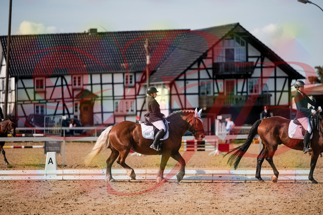 2026_10_03_Siefer-Hof_130502_Z63_68339033 | Professionelle Reitsport-, Turnier- und Eventfotografie von Robert Broda. Galerien mit ausgewählten und bearbeiteten Bildern direkt online ansehen und bestellen.