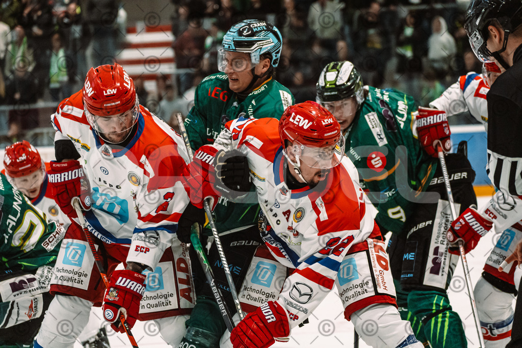 Alligators_vs_Peiting_04_10_2026-22 | Die Fotogalerie von Daddel: professionelle Bilder von Sport, Events und Unternehmen aus Franken. Jetzt Galerien durchstöbern und Lieblingsfotos bestellen. - Realisiert mit Pictrs.com