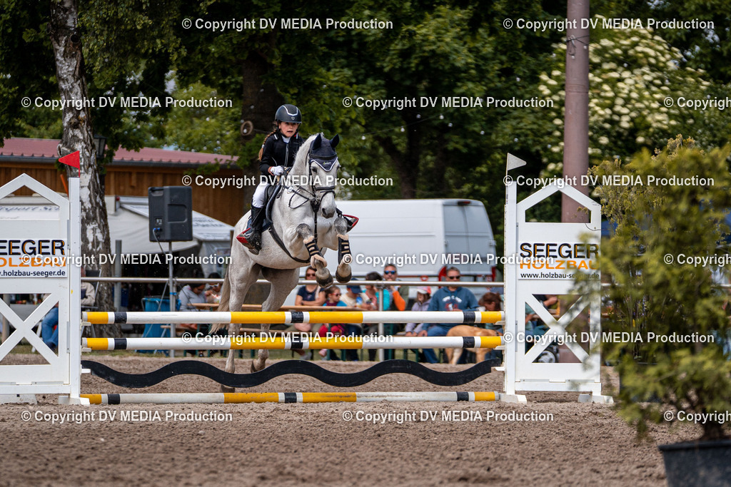 Eppelheim Tag 3-451 | dv-media-shop - Realisiert mit Pictrs.com