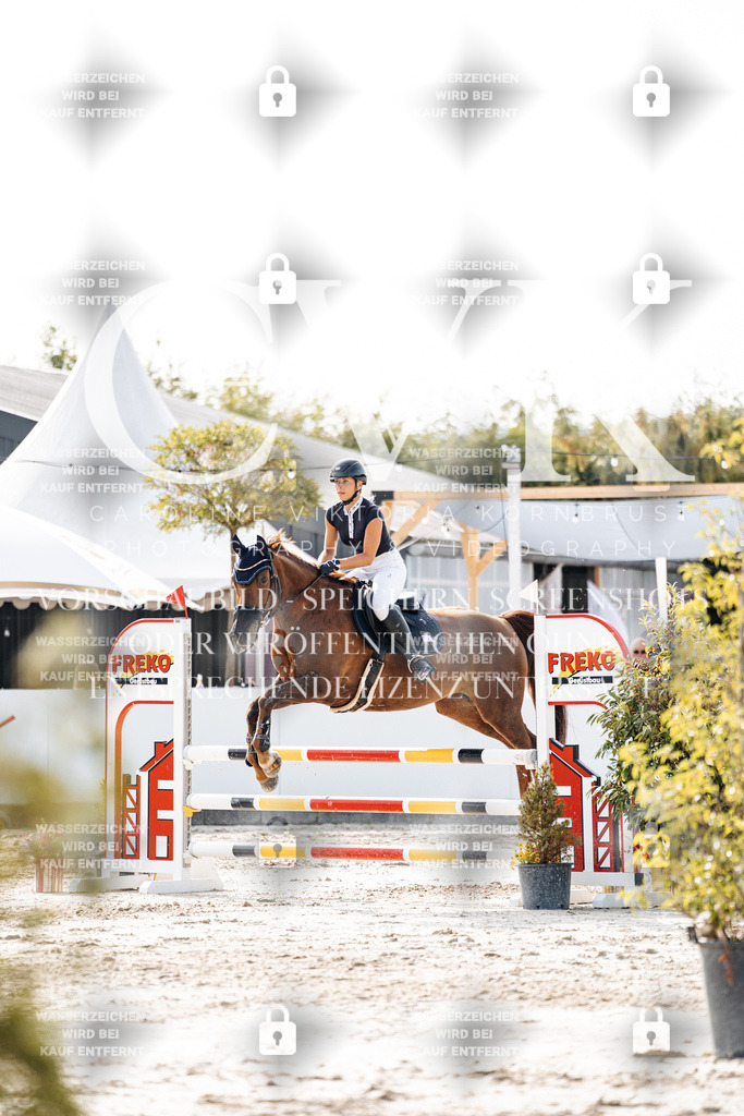 CK906064 | Turnierfotografie Pferdefotografie Trier Rheinland-Pfalz Pferdesport Reitsport Tierfotografie Sportfotografie Pferdevideo Pferdevideografie Equestrianvideography equestrianphotography  - Realisiert mit Pictrs.com