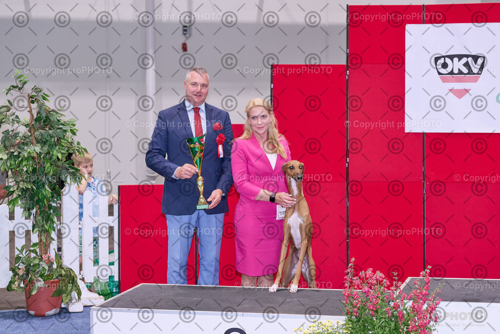 202406_ÖKV-IHA-Tulln24_NZ9_8762 | proPHOTO - Realisiert mit Pictrs.com