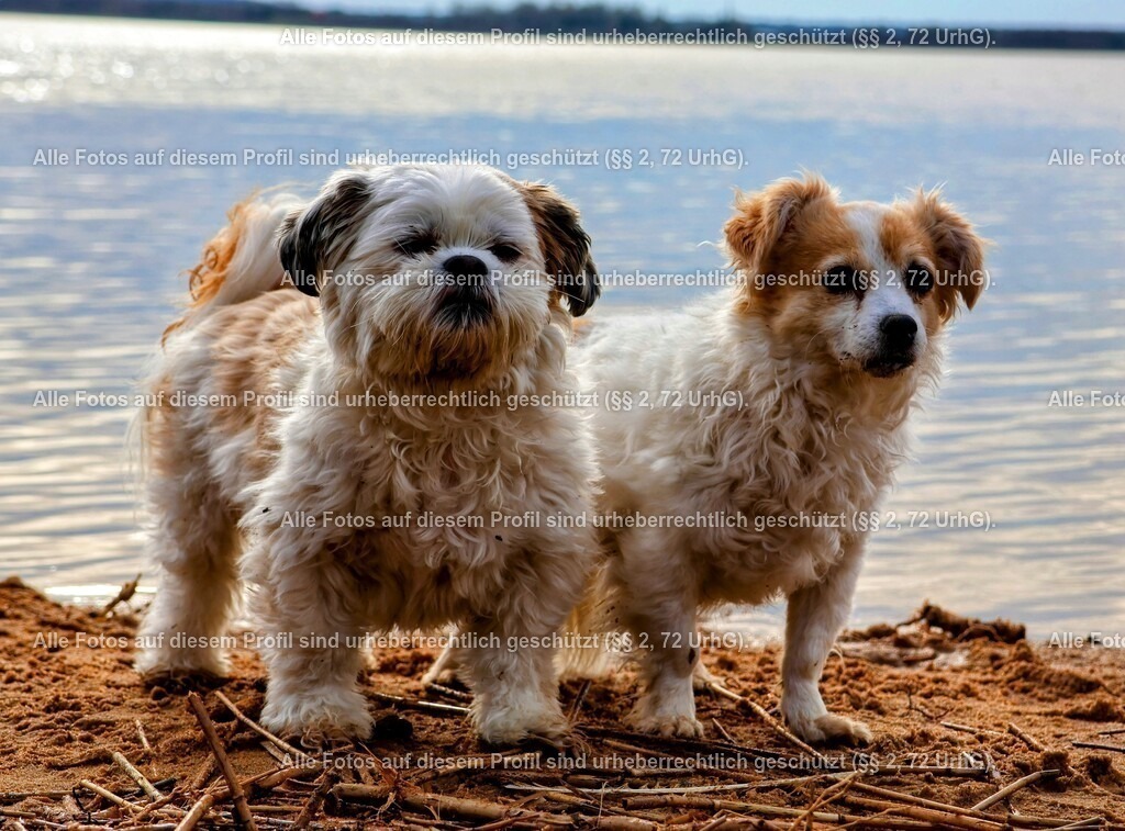 20240326154647_0C4A4278_2-01_2 | krollfotografie - Realisiert mit Pictrs.com