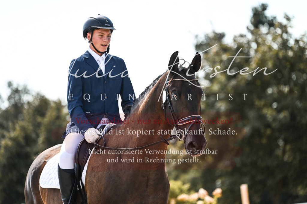 DSC_5457 | Pferde- und Turnierfotografie in Westsachsen. Pferdeportraits, Auftragszeichnungen und intuitive Kunst.