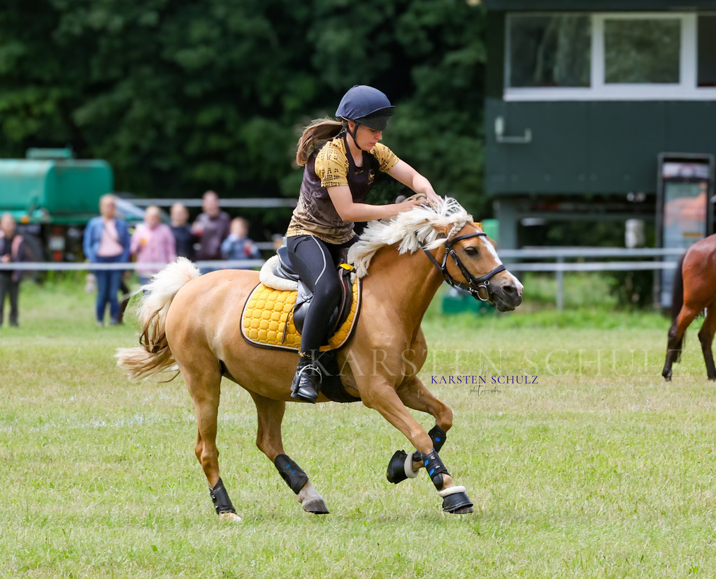 1B3A1715 | Reitsport Reiten
