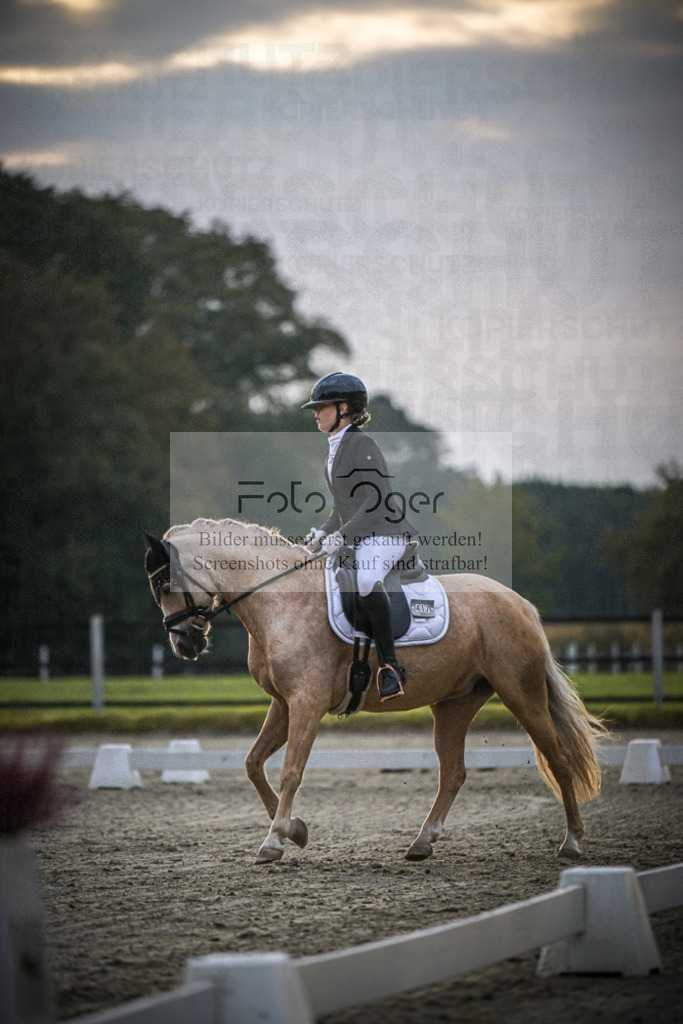 DOS_0971 | Entdecke hochwertige Reitturnierfotos von Foto Oger. Professionell, emotional und authentisch – jetzt Lieblingsmomente im Shop bestellen.Deutschlandweite Turnierfotografie. - Realisiert mit Pictrs.com