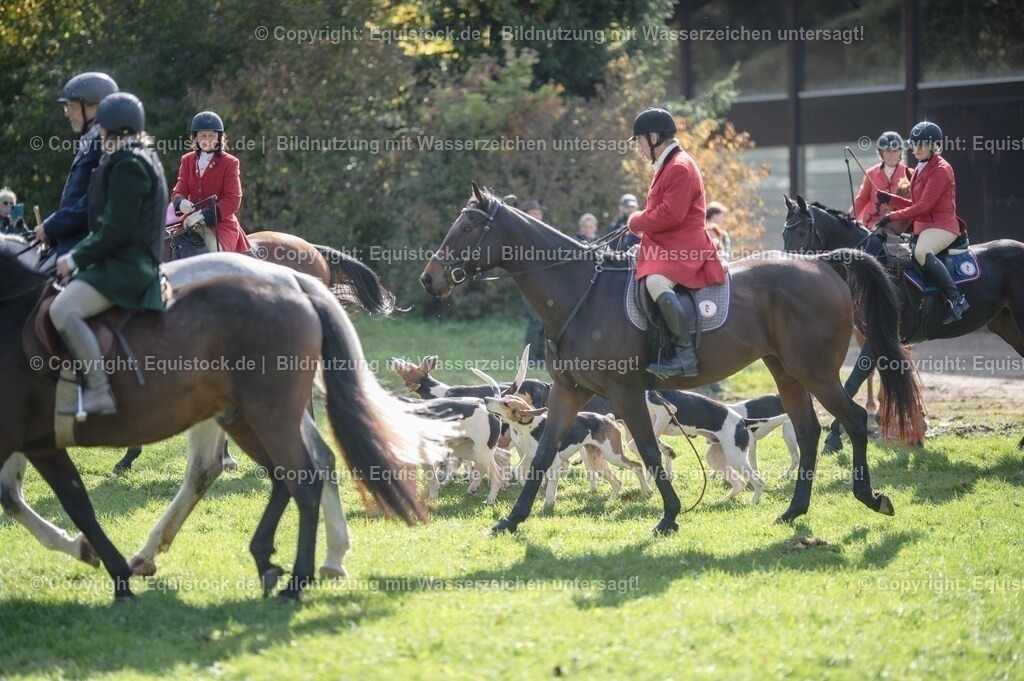 20251011_Jagd-Marbach_0140 | Foto: Thomas Hartig
