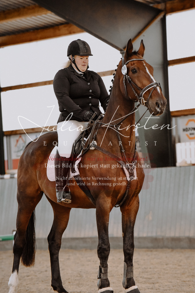 DSC_7472 | Pferde- und Turnierfotografie in Westsachsen. Pferdeportraits, Auftragszeichnungen und intuitive Kunst.