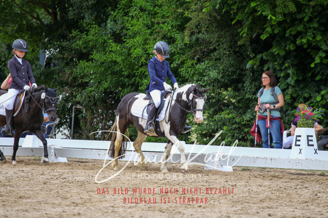 DKP46284 | Turnierfotos kaufen im Webshop von Daniel Kuhl Photography – entdecke professionelle Reitsportfotos aus Turnieren & Events. Hochwertige Turnierbilder online bestellen & sichern. Jetzt Fotos von Reitsportturnieren kaufen!